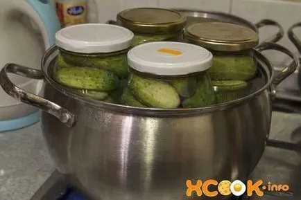 Краставиците от български - рецепта със снимки, как да туршия за зимата