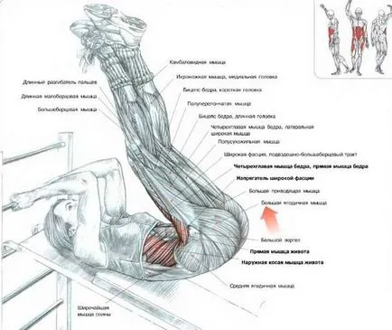 PFD за бегачи - значението на списък с упражнения за гърба, краката, бедрата, задните части, съвети пресата