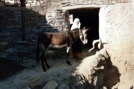 caracteristici maroc