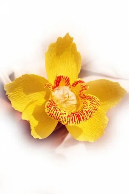 Orchid édességek