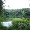 Езера на региона Омск солени, лечебни, за риболов, отдих и плуване