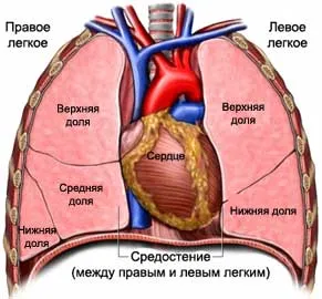 Відповіді на запитання