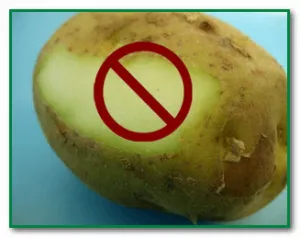 Човешки отравяне картофи зелена или покълнали