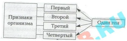 Отговор § 22