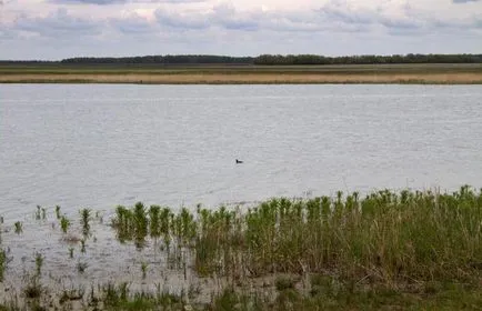 Lacul de rezervoare cele mai populare din regiune Omsk a