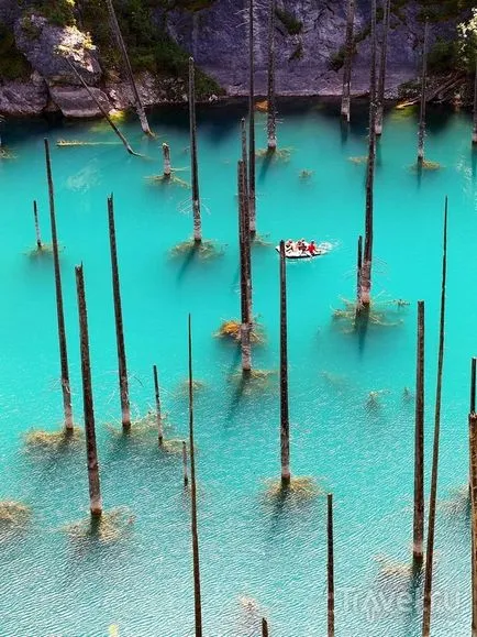 Lacul Kaindy în copaci Kazakhstan sub apă