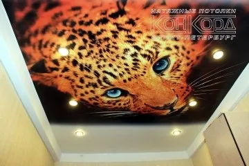 Художні натяжні стелі Харків ціни рекомендації до вибору дизайну та фото від конкорд (натяжні) Художні натяжні стелі Харків ціни рекомендації до вибору дизайну та фото від конкорд