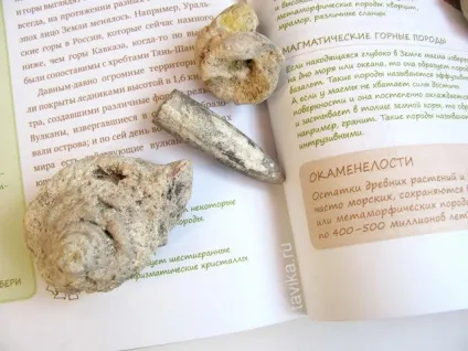 Хочете бути ближче до природи