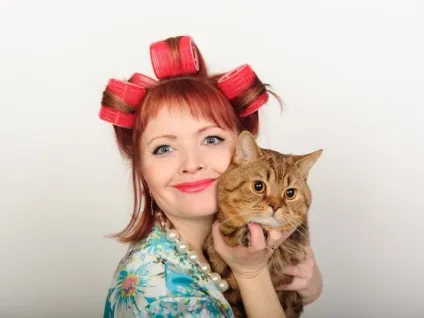 Хочу завести кота! Яку породу вибрати, дамський експерт (мейн-кун) Хочу завести кота! Яку породу вибрати, дамський експерт