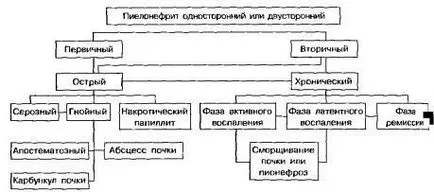 Patogenézisében pyelonephritis