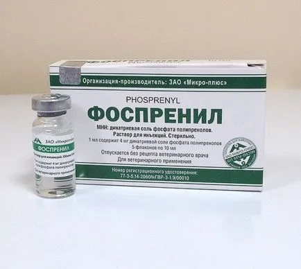 Папіломи у собак (папіломи) Папіломи у собак