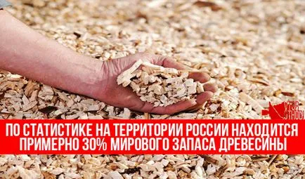 Дървообработване етапи, продукти, оборудване