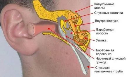 симптоми Fracture ухо, лечение, причини