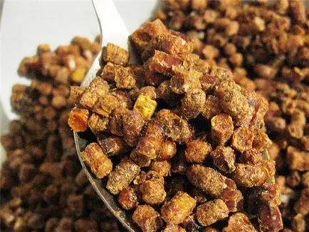 Bee pollen előnyös tulajdonságait, hogy hogyan lehet, fotó