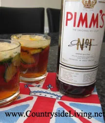 Pimms (Pym, Pimm - s)