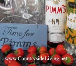 Pimms (Пим, PIMM - и)