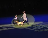 Kennel pembork Corgi galez - Crufts 2011 - sunt impresiile mele despre expoziție