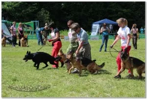 Kennel ciobanesc german balon Echipa balon Echipa