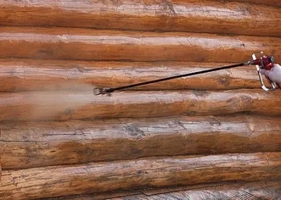 Мухъл в дървена къща формация предизвиква и средства за правна защита