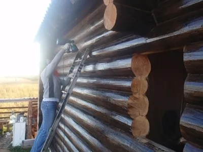 Мухъл в дървена къща формация предизвиква и средства за правна защита