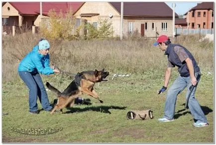 Kennel ciobanesc german balon Echipa balon Echipa