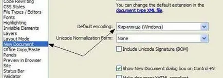 Защо Dreamweaver MX 2004 г., след русификация не работи russifitsirovanie