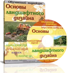 Чому в'януть перці в теплиці перець вирощування хвороби - my life