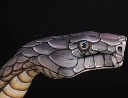 Miért nem öli meg a kígyók