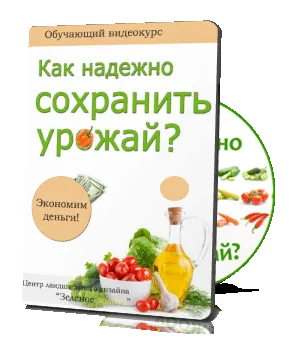 Чому в'януть перці в теплиці перець вирощування хвороби - my life