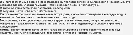 Защо хризантеми в букет дари бързо изчезнаха, тъй като те се съживи