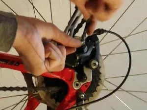 Полезна veloaptechka