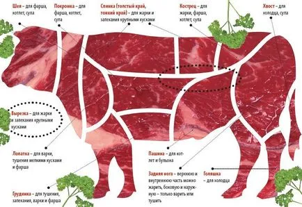 Ползи и вреди на телешко месо, правилата за подготовка и съхранение на неговите свойства на храната телешко месо