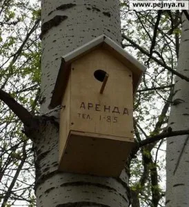 A számítási eljárást áfa az összeg a bérleti díj, adók és a jog