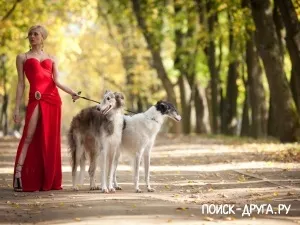 Навіщо жінкам собаки - новини про собак (провели) Навіщо жінкам собаки - новини про собак
