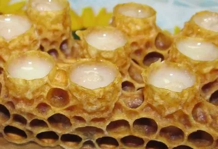 Helyes vásárlás méhpempő