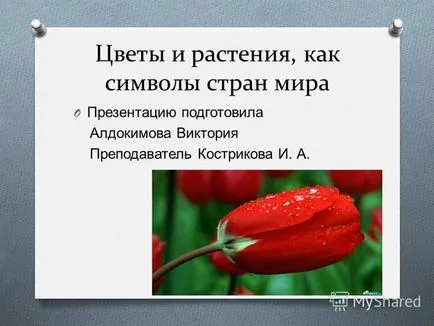 Представяне на цветя и растения като символ на света о представяне подготвени aldokimova