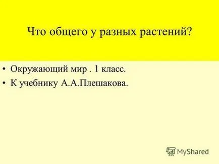 Презентация за сметка на клас 4 български