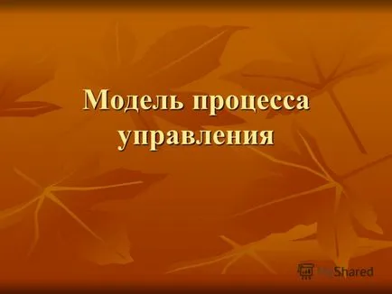 Представяне на процеса на управление на модел