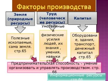 Prezentarea a ceea ce economia - studii sociale, prezentări