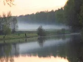 fenomene naturale, platforma de conținut