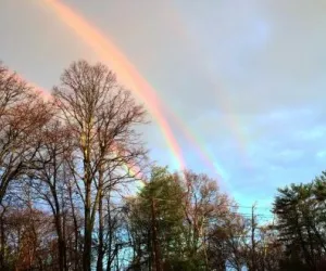 Natura articol despre natura si fenomene naturale, recenzii, cele mai frumoase locuri de pe planetă, etc.