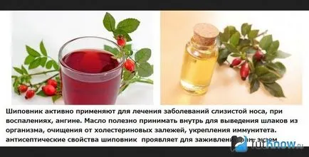 Utilizarea uleiului de măceșe în cosmetologie și medicină