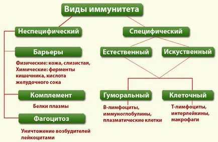 Пробиотици и имунитет