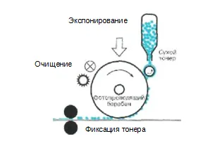 виробництво шпалер