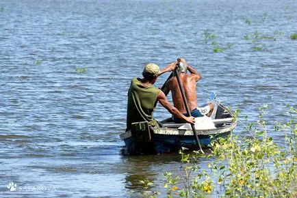 Utazás az Amazonas, frissebb - a legjobb a nap, amit valaha is szüksége van!