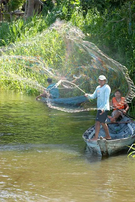 Utazás az Amazonas, frissebb - a legjobb a nap, amit valaha is szüksége van!