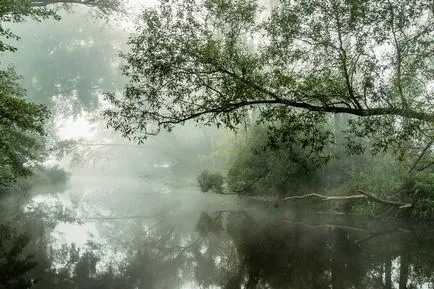 Hajnal a folyó fotó