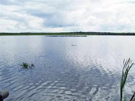 Öt tavak a Omszk régióban, titokzatos helyen, Magyarországon és az ország a világ nevezetességeit