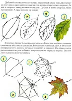 Dezvoltarea de lecții de desen copilului pentru copii