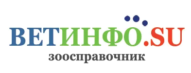 Бъбречни кучета - обща информация, доза, начин на прилагане, противопоказания